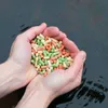 10 Liter (0,85 kg) Lyra Pond® Pond Colour Sticks Koi Mix Produktbild-Vorschau 7