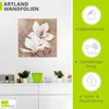ARTland Wandbild, selbstklebend Klassische Magnolien Größe: Produktbild-Vorschau 3