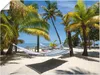 ARTland Poster Florida Keys Relax Größe: 80x60 cm Produktbild-Vorschau 1
