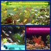 A collage of three aquarium scenes, each featuring different colored LED lights and fish. Produktbild-Vorschau