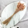 Getrocknete Hasenschwanzgras - (Lagurus) - Altrosa Produktbild-Vorschau 4