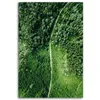 Leinwandbild Pfad durch grünen Wald 60x90 Feeby Grün bild Produktbild-Vorschau 3