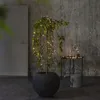 LED Lichterkette - AKKU - 80 warmweiße LED -  5,6m -  Batterie - Timer - outdoor - schwarz Produktbild-Vorschau