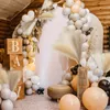 6er Set Pampasgras Kunstblumen 50 cm Boho Deko für Zuhause Produktbild-Vorschau 5