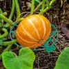10 supports de pastèque, berceau de melon, support de Voir les images du produit 4