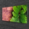 Acrylglasbilder 100x50 Wandbild Druck Eiche Blätter Produktbild-Vorschau 2
