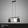Lampa wisząca Lampa wisząca BRILONER LEUCHTEN SHADES, 40 W, Podgląd zdjęcia produktu 3