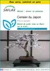 SAFLAX Ensemble de culture - Cerisier du Japon - 30 graines Voir les images du produit 1