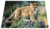 HERMA 19676 Schreibtischunterlage Tiere Afrika, abwischbare Produktbild-Vorschau 8