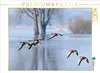 Calvendo Gänseflug 1000 Teile Puzzle quer 640x480mm, Produktbild-Vorschau 3