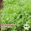 Samenliebe  Salat Samen | Bionda a Foglia Riccia - Produktbild-Vorschau 4