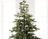 A close-up view of the top portion of a decorated Christmas tree with lights. Anteprima dell’immagine prodotto