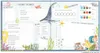 PAPERISH® Kindergartenfreunde – MEERJUNGFRAU: ein Album für Produktbild-Vorschau 4