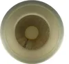 vhbw 2x Faltenfilter kompatibel mit Dustcontrol DC 2700c, Produktbild-Vorschau 9