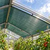 42m ombra rete recinzione schermo tennis schermo Anteprima dell’immagine prodotto 6