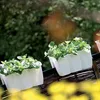 Prosperplast 12l Crown Collection 39.3x27.8x20.1 Cm Produktbild-Vorschau 14