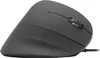 Speedlink Maus PIAVO. Ergonomie Vertikal. USB. schwarz Produktbild-Vorschau 6