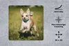MuchoWow® Mauspad Mousepad Ein lächelnder Chihuahua hüpft Produktbild-Vorschau 2
