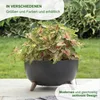 A potted plant with green and pink leaves sits in a dark gray bowl-shaped planter with wooden legs, placed outdoors on a patio. Produktbild-Vorschau