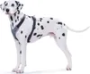 HUNTER Hundegeschirr NEOPREN, schwarz/grau, Produktbild-Vorschau 8