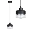 A product shot of a black pendant light with a clear glass shade. Produktbild-Vorschau