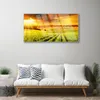 Acrylglasbilder 100x50 Wandbild Druck Feld Acker Produktbild-Vorschau 3
