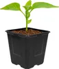 A small green plant seedling in a black square pot. Podgląd zdjęcia produktu