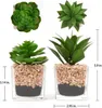 2er Set Künstliche Sukkulenten Glas Topf Deko Wohnzimmer Produktbild-Vorschau 2