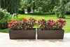 LAMELA spolka z organiczona odpowiedzi. Truhlík BEGONIA Náhled obrázku produktu 5