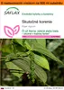 SAFLAX Garden in the bag - skutočné korenie - Piper nigrum Náhľad obrázku produktu 1