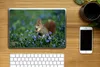 MuchoWow® Laptop Aufkleber Sticker Cover Eichhörnchen - Produktbild-Vorschau 2