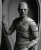 NECA Ultimate Mummy (Black & White), Sběratelská akční Náhled obrázku produktu 4