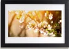 Bild 30x20 MDF-Rahmen Wandkunst Blumen Pflanzen Natur Produktbild-Vorschau 1