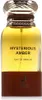 A bottle of Maison Alhambra Mysterious Amber Eau de Parfum. Produktbild-Vorschau