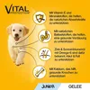 PEDIGREE® Portionsbeutel Multipack Junior 4 Varietäten in Produktbild-Vorschau 1