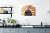 MuchoWow® Poster Muschel - Blau - Meer 60x40 cm - Produktbild-Vorschau 3