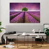 Bilder auf glas - Wiese lavenda Sommer Landschaft - Produktbild-Vorschau 6