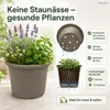 Pflanztopf Fiona Taupe Ø 25cm - Frostsicher & UV-Beständig Produktbild-Vorschau 5
