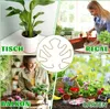 4 Stück Pflanzenstütze , Monstera Pflanzenstielstütze Produktbild-Vorschau 3