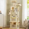 PURPURRA Robuster Kratzbaum für große Katzen, 200 cm hoher Produktbild-Vorschau 7