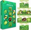 Salatsamen Set - 10 Sorten Samen - Saatgut Sortiment - Produktbild-Vorschau 1