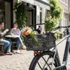 Basil Cento Flower S Multi Corbeille à vélo 11,5 litres Voir les images du produit 2