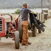 Carhartt Arbeitshose Duck Double Front Logger Pant B01, Produktbild-Vorschau 12