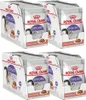 Royal Canin Sachets fraîcheur Sterilised en sauce Multipack Voir les images du produit 8