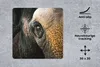 MuchoWow® Mauspad Mousepad Elefant - Nahaufnahme - Tiere - Produktbild-Vorschau 2