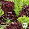 Samenliebe  Salat Samen | Bunte Mischung - samenfestes  Produktbild-Vorschau 4