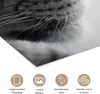 MuchoWow® Poster Tierprofil Löwe in schwarz und weiß 80x120 Produktbild-Vorschau 2