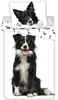 Juego de ropa de cama de algodón estilo "Border Collie" – Vista previa de la imagen del producto 1