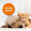 Ardap Zeckenspray am Tier Produktbild-Vorschau 6