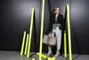 reisenthel loopshopper L, Einkaufstasche, Shopper, Produktbild-Vorschau 14